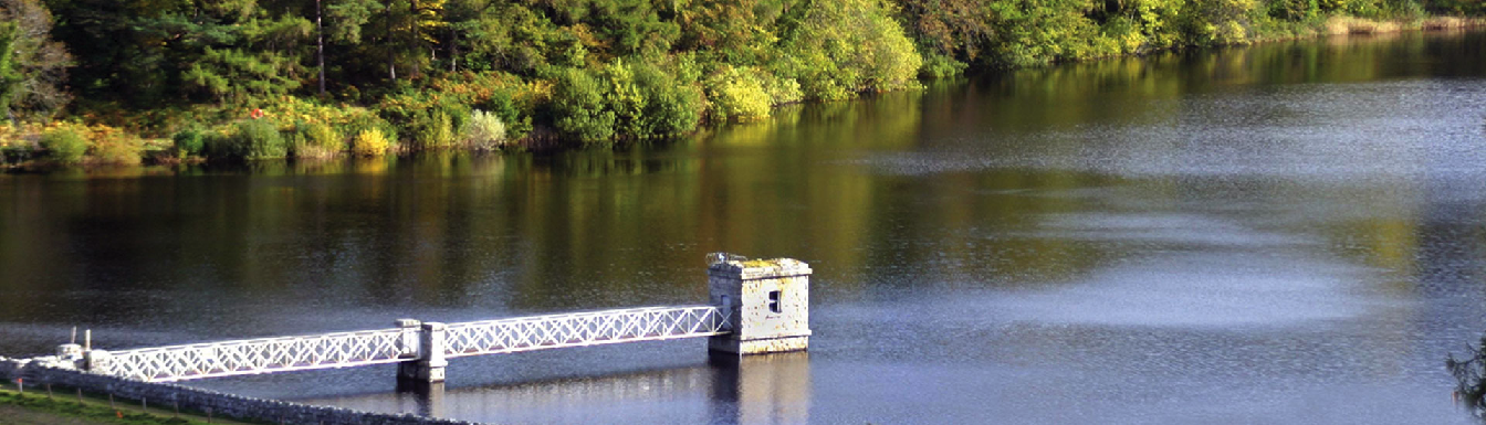 Image of a pier on a lake