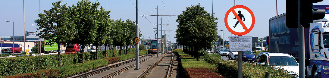 Image of Luas